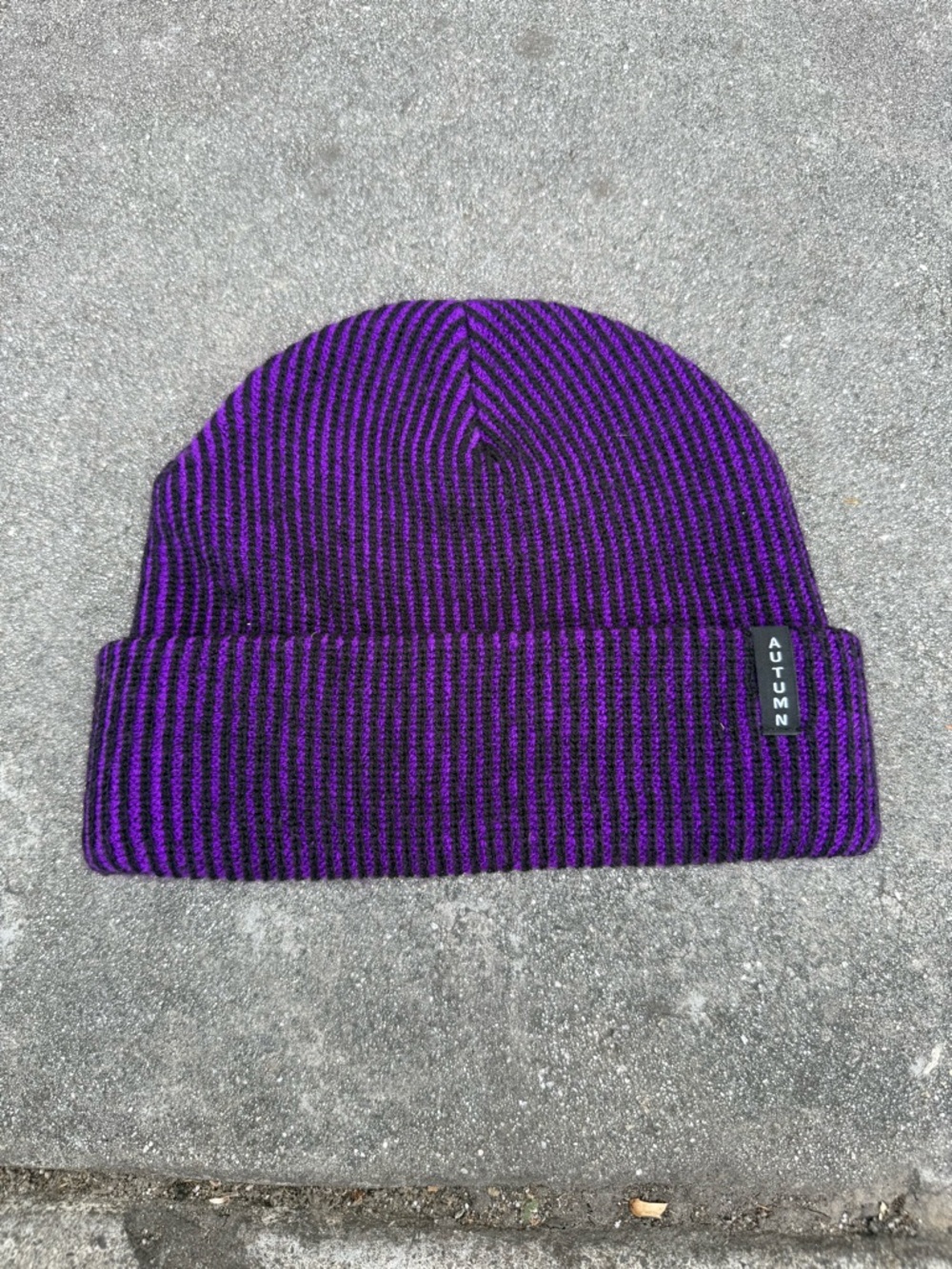 Autumn Beanie